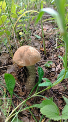 2026-06-29_214042.png