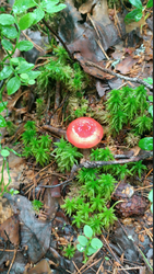 2026-06-29_214611.png