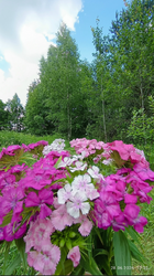 2026-06-29_220629.png