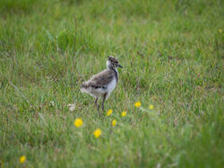 20260526-MRK36128_DxO.thumb.jpg.e7c67e0b09bc3f1400cb6d90d0b1d571.jpg