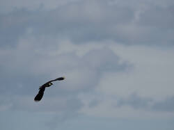20260526-MRK36288_DxO.thumb.jpg.678a883a553f5c302a286e1d9b33e926.jpg