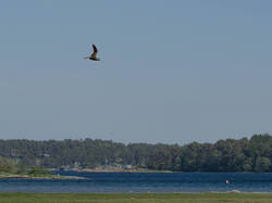 20260526-MRK37032_DxO.thumb.jpg.efb3d372591fc442e5d98a4a6cd3fbdd.jpg