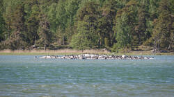 20260526-MRK37647_DxO.thumb.jpg.0acd1473bb867e6e3c836e48f2daf28e.jpg