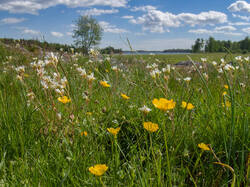 20260526-TAGE0412_DxO.thumb.jpg.5b6c1dc1b3f64901a9aabd41d31825a8.jpg