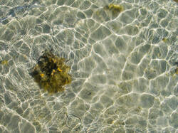 20260526-TAGE0429_DxO.thumb.jpg.658faec95f1aeea99ead2b67f4e579bc.jpg