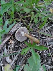 20260602_210604.thumb.jpg.8afe8d206c796c85a259f17c217401e8.jpg