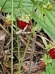 20260617_172154.jpg