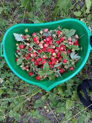 20260617_184116.jpg