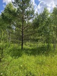 20260620_105324.jpg