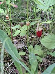 20260620_105628.jpg