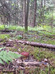 20260623_085720.jpg