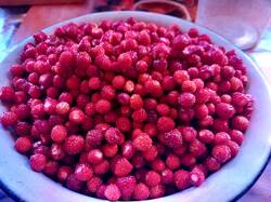 20260629_091559.jpg