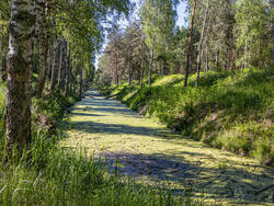 D73A5747.jpg