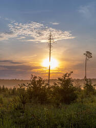 D73A5807.jpg