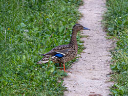 D73A5842.jpg