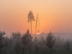 D73A5889-2.jpg