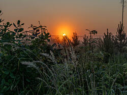 D73A5900-2.jpg