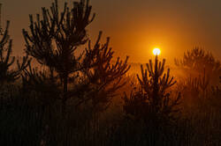 D73A5924.jpg