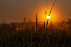 D73A5928.jpg