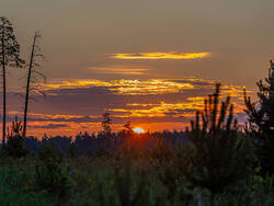 D73A6828.jpg