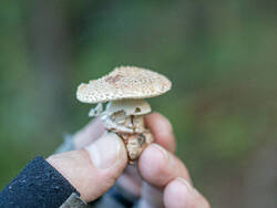 D73A6862.jpg