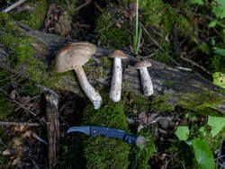 D73A6887.jpg
