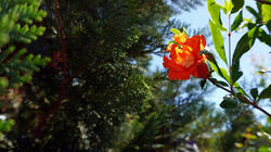 DSC05485.thumb.JPG.e301d7fd913919fa314f37c686f330d8.JPG
