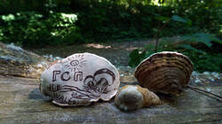 DSC05497.thumb.JPG.9371fb7b5c74e07ee90577b6312cf255.JPG