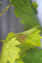 DSC08473.jpg