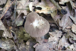 DSC08490.jpg