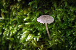 DSC08504.jpg
