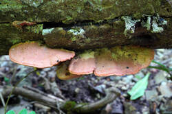 DSC08557.jpg
