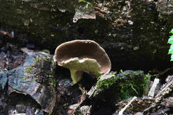 DSC08578.jpg