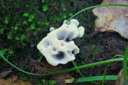 DSC08582.jpg