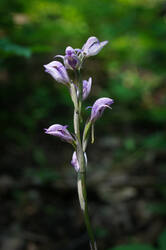 DSC08646.jpg