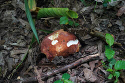 DSC08664.jpg