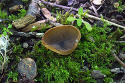 DSC08669.jpg