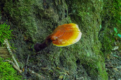 DSC08671.jpg