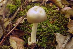 DSC08700.jpg