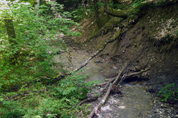DSC08703.jpg