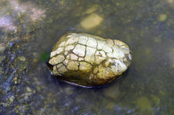 DSC08704.jpg