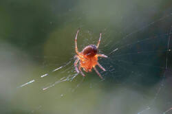 DSC08759.jpg