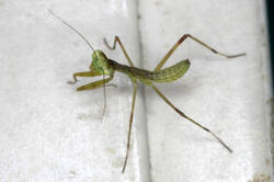 DSC08779.jpg