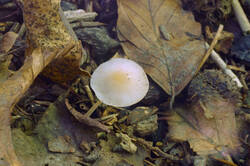 DSC08796.jpg