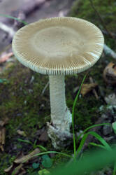 DSC08799.jpg