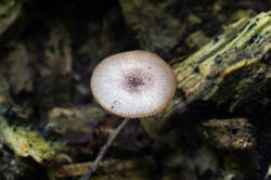 DSC08802.jpg