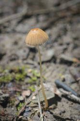 DSC08810.jpg