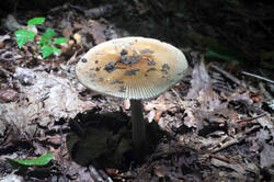 DSC08813.jpg