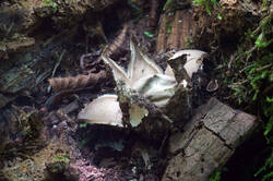 DSC08815.jpg