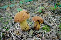DSC08836.jpg